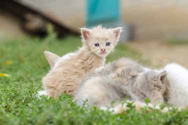 Similar image 6140820