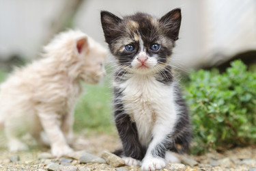 Similar image 6140821