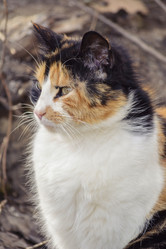 Similar image 6140822