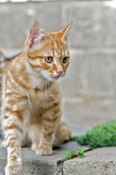 Similar image 6140823