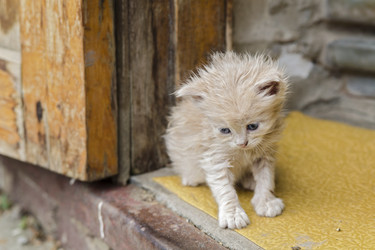 Similar image 6140824