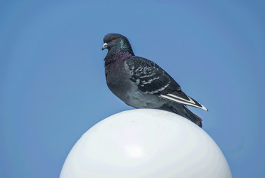 Similar image 6141008