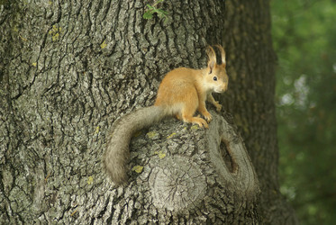 Similar image 6141011