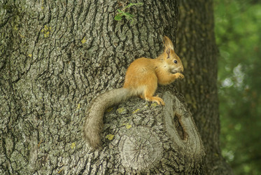 Similar image 6141170