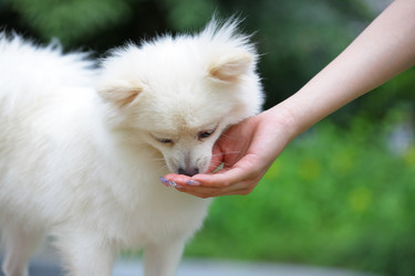 Similar image 6141421