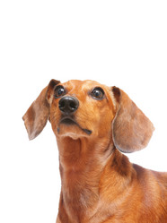 Similar image 6141422