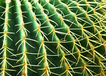 Similar image 6141434