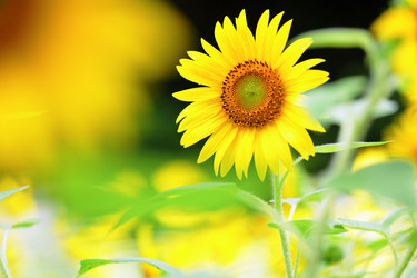 Similar image 6141448