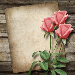 Similar image 6141564