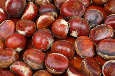 Similar image 6141583