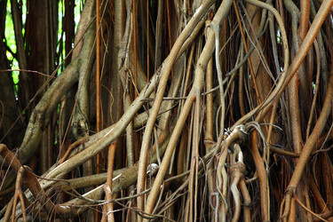 Similar image 6141780