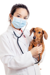 Similar image 6141972