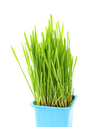 Similar image 6142134