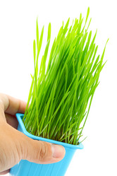 Similar image 6142151