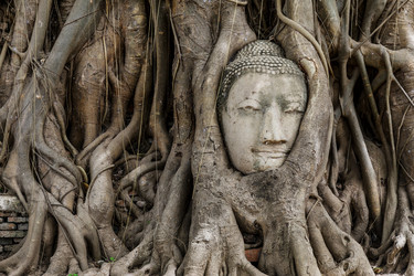 Similar image 6142202