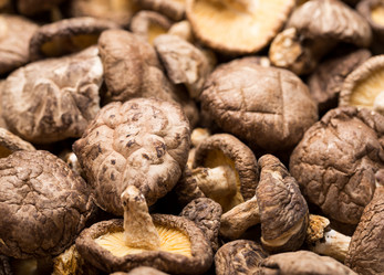 Similar image 6142576