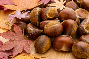 Similar image 6142742