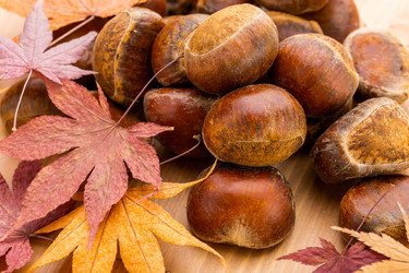 Similar image 6142748