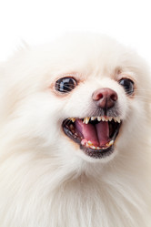 Similar image 6142976