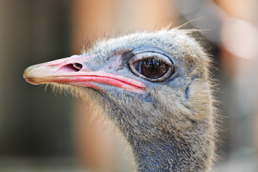 Similar image 6143071