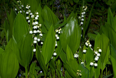 Similar image 6143098