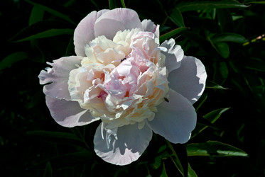 Similar image 6143099