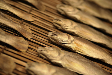 Similar image 6143148