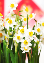 Similar image 6143212