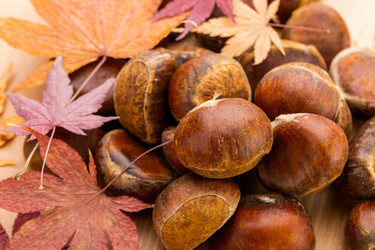 Similar image 6143494