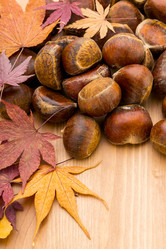 Similar image 6143495