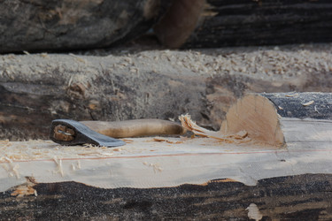 Similar image 6143528