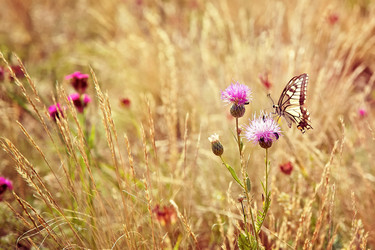 Similar image 6143531