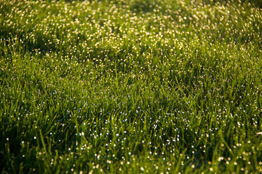 Similar image 6143569