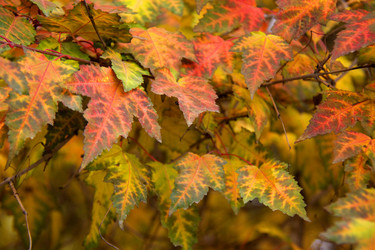 Similar image 6143570