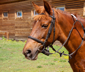 Similar image 6143571