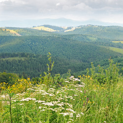 Similar image 6143582