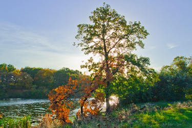 Similar image 6143630