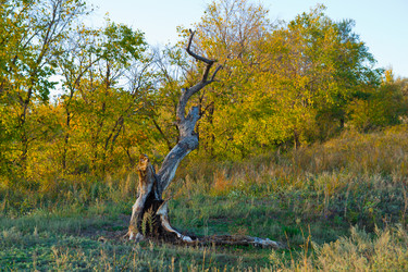 Similar image 6143647