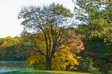 Similar image 6143651