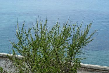 Similar image 6143667