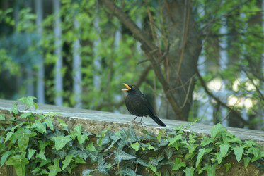 Similar image 6143669