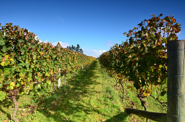 Similar image 6143754