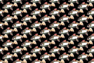 Similar image 6143779