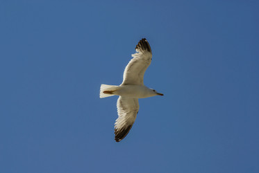 Similar image 6143789