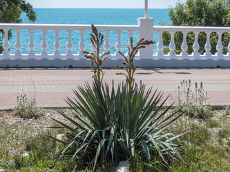 Similar image 6143791