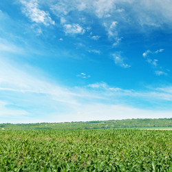 Similar image 6144108