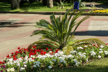 Similar image 6144109