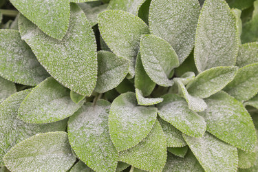 Similar image 6144209