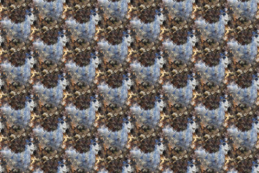 Similar image 6144255