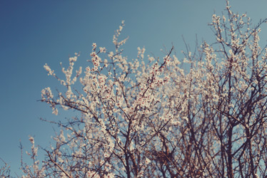 Similar image 6144431